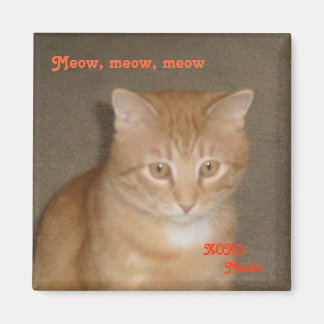 悲しい顔 マグネット