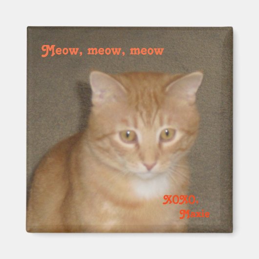 悲しい顔 マグネット (正面)