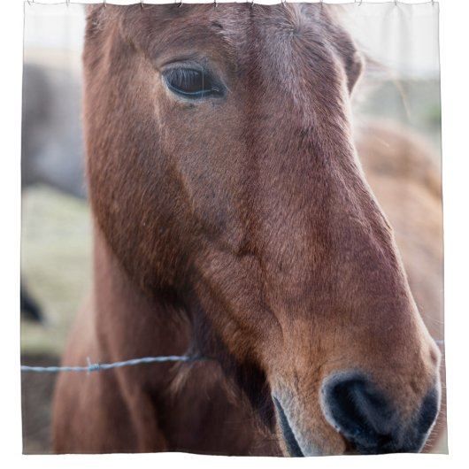 悲しい馬 シャワーカーテン (正面)