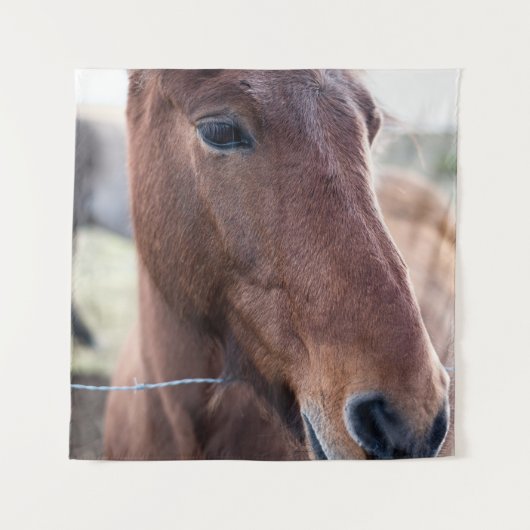 悲しい馬 タペストリー (正面)