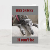 悲しい***動い***保TOUCH カード (正面)