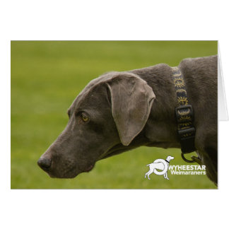 悲しくないがあないで下さい