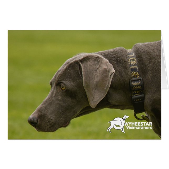 悲しくないがあないで下さい (正面横)