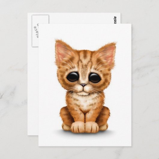 悲しげなかわいいオレンジ色のタビー子猫（ねこ） - 白背景 ポストカード (正面/裏面)