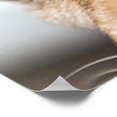 悲しそうな目 ポスター (角)