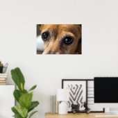 悲しそうな目 ポスター (ホームオフィス)