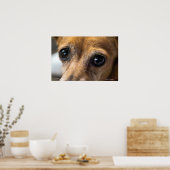 悲しそうな目 ポスター (キッチン)