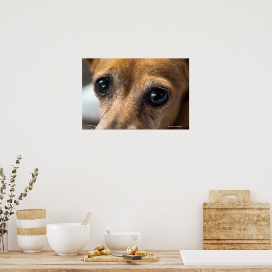 悲しそうな目 ポスター (キッチン)