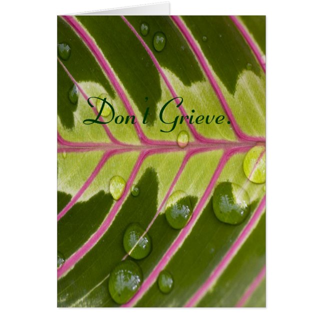 悲しまないで。 (正面)