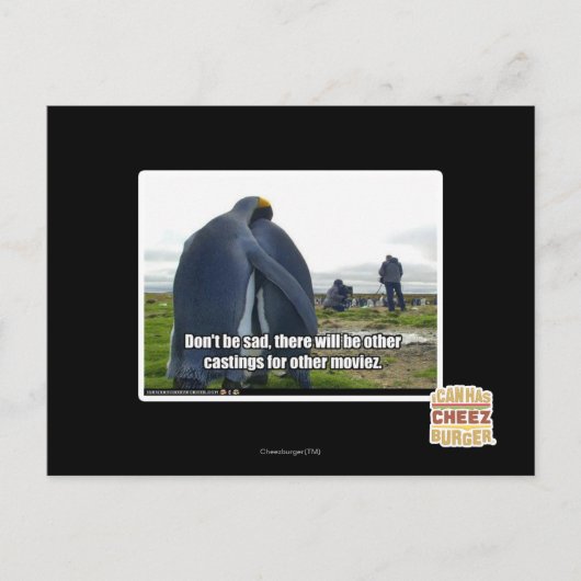 悲しまないで ポストカード (正面)