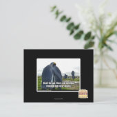 悲しまないで ポストカード (スタンド正面)