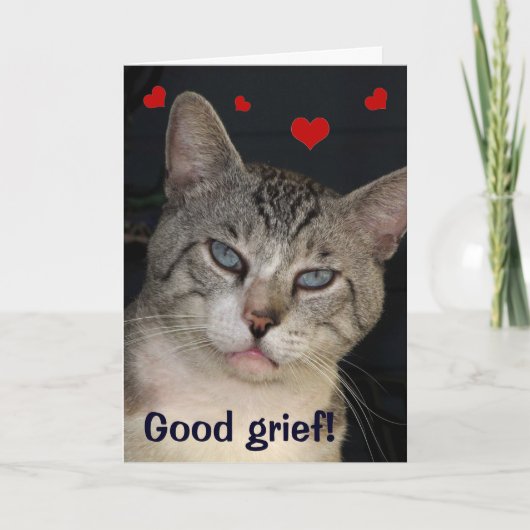 悲しみのバレンタインデーカード シーズンカード (正面)