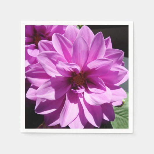 悲しみカクテル紙ナプキンス スタンダードカクテルナプキン (正面)