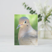 悲しむ鳩 ポストカード (スタンド正面)