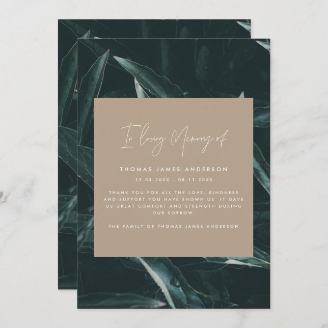 悲モダンエレガント覚の写真 (正面/裏面)