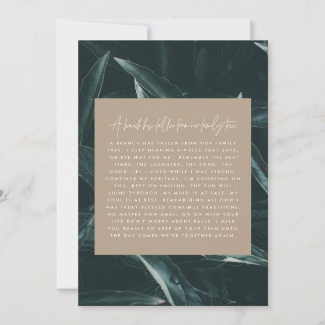 悲モダンエレガント覚の詩 (正面)