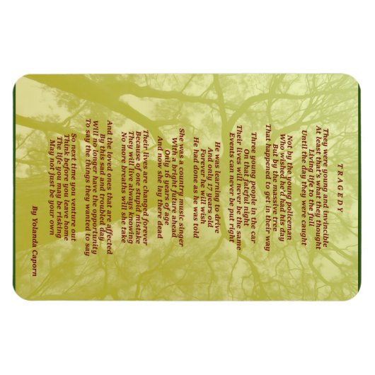 悲劇の可撓磁石 マグネット (横)