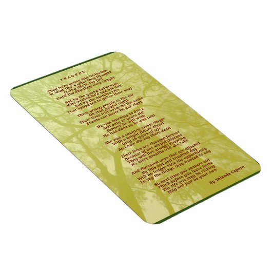 悲劇の可撓磁石 マグネット (右側)