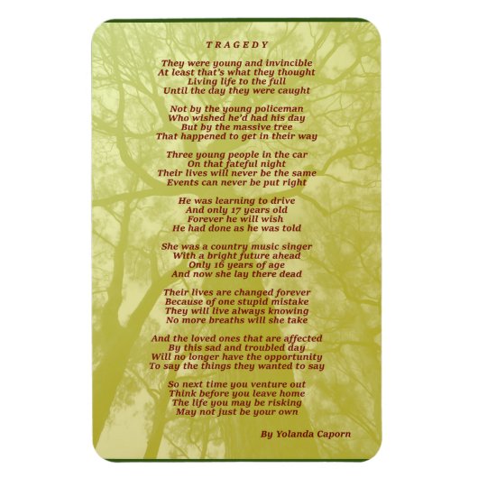 悲劇の可撓磁石 マグネット (縦)