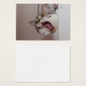 悲鳴を上げるブリティッシュ・ショートヘア (正面&裏面)