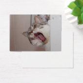 悲鳴を上げるブリティッシュ・ショートヘア (デスク)