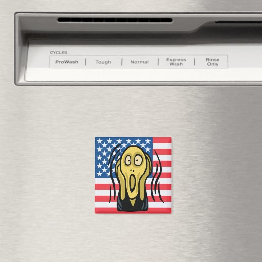 悲鳴アメリカ人 マグネット (インサイチュ (食洗機))