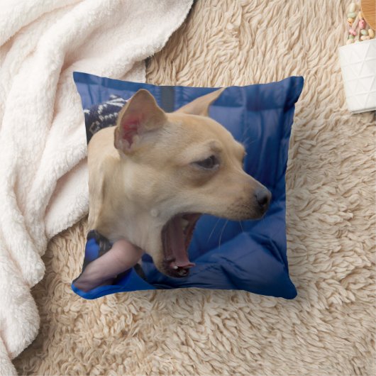 悲鳴チワワ クッション (ブランケット)