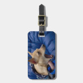 悲鳴チワワ ラゲッジタグ (正面縦)