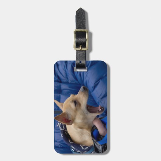 悲鳴チワワ ラゲッジタグ (正面縦)