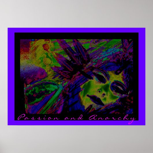 「情動と無政府状態」 ポスター (正面)