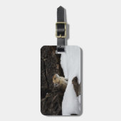 情報と雪の中のピカ連絡ラベル ラゲッジタグ (正面縦)