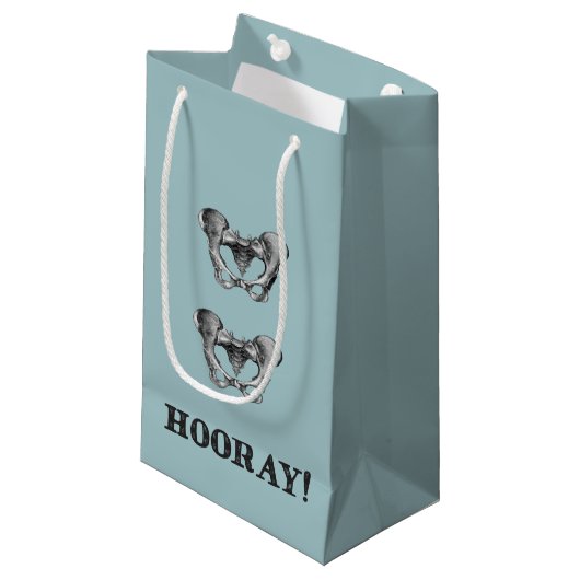 情報通のお尻のHooray解剖学メッセージ スモールペーパーバッグ (正面アングル)