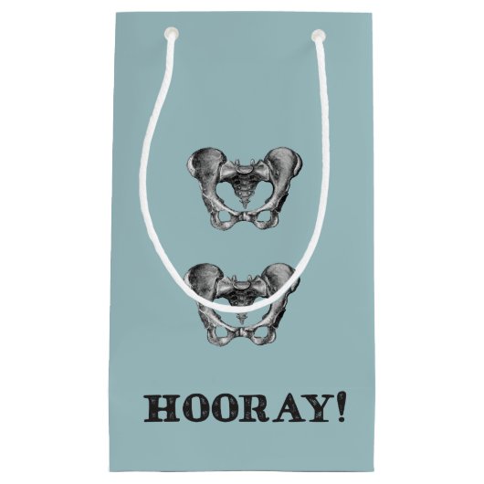 情報通のお尻のHooray解剖学メッセージ スモールペーパーバッグ (正面)