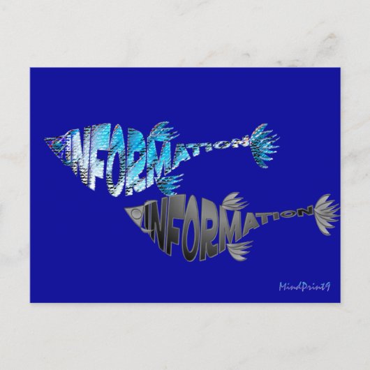 情報魚 ポストカード (正面)