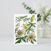 情熱によっては植物のイラストレーションが開花します ポストカード (スタンド正面)