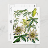 情熱によっては植物のイラストレーションが開花します ポストカード (正面/裏面)