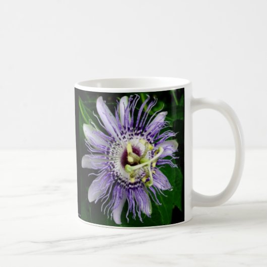 情熱の花 コーヒーマグカップ (右)