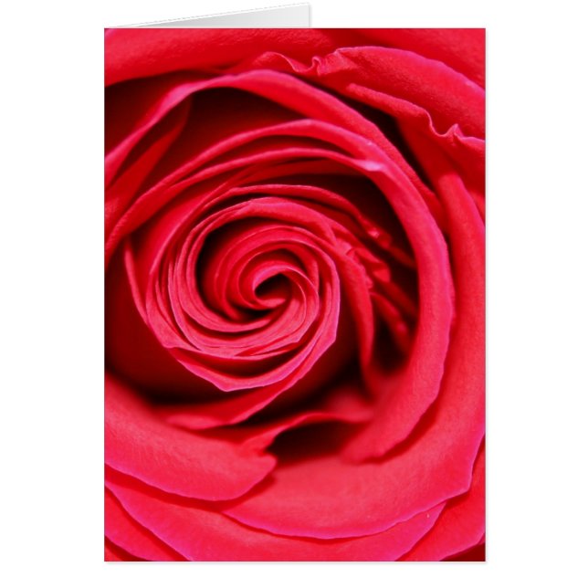 情熱は上がりました (正面)