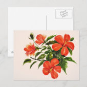 情熱的な赤いハイビスカス ポストカード (正面/裏面)