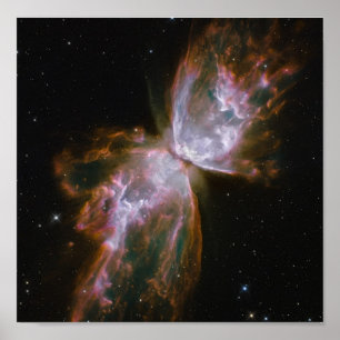 惑星の星の死から蝶が現れる ポスター