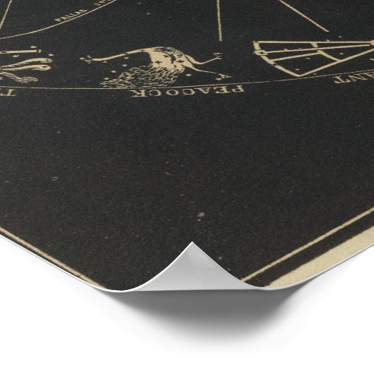 惑星の軌道 ポスター (角)