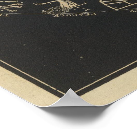 惑星の軌道 ポスター (角)