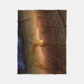 惑星を形成する材料の円盤は星を回る。 フリースブランケット (正面)