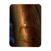 惑星を形成する材料の円盤は星を回る。 マグネット (縦)