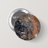 惑星ジュピターの渦巻く雲が近づく 缶バッジ (正面&裏面)