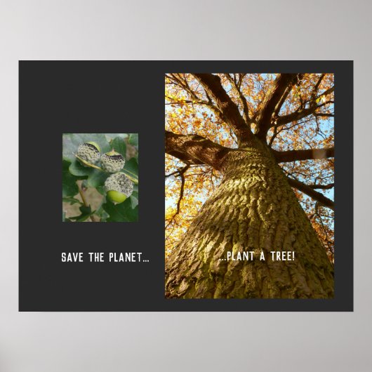 惑星ポスターを保存する ポスター (正面)