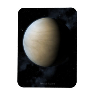 惑星金星 マグネット