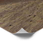 惑星Tatoineポスターのモスエパ ポスター (角)