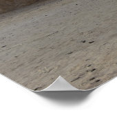 惑星Tatoineポスターのモスエパ ポスター (角)