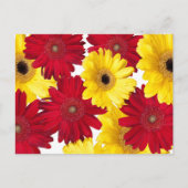 想いを届ける 赤と黄色のガーベラデイジー ポストカード (正面)